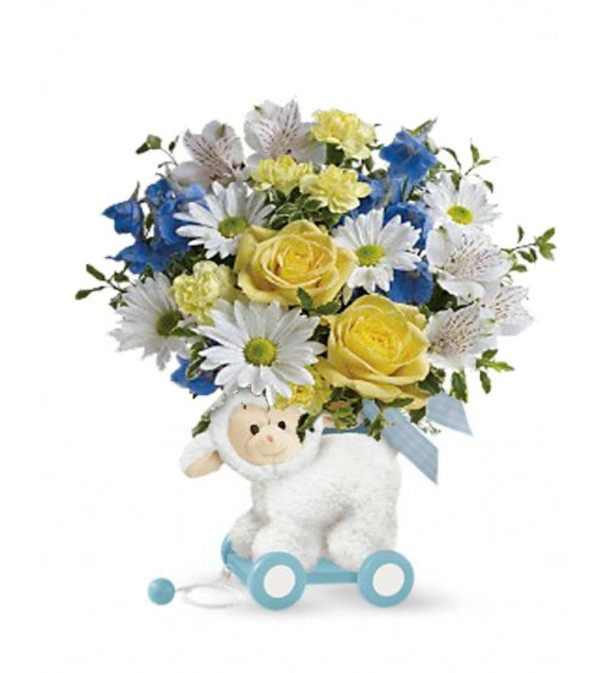 Boy Lamb