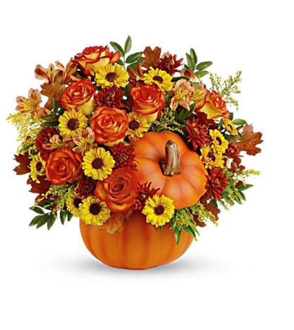 Warm Wishes Pumpkin