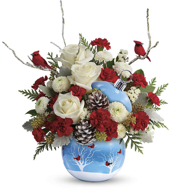 TCG Teleflora's Cardinals in the Snow