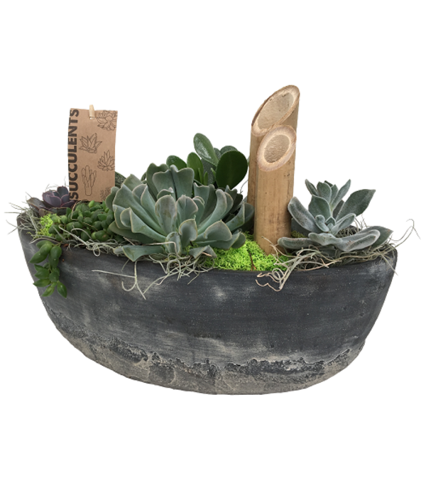 The Succulent Boat