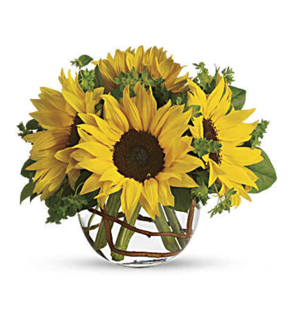 Sunny Sunflowers T152-2