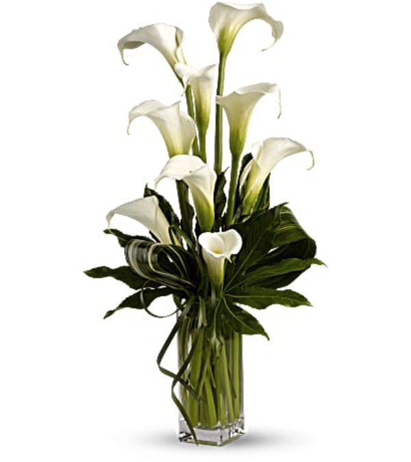Classic Calla Vase T83-1