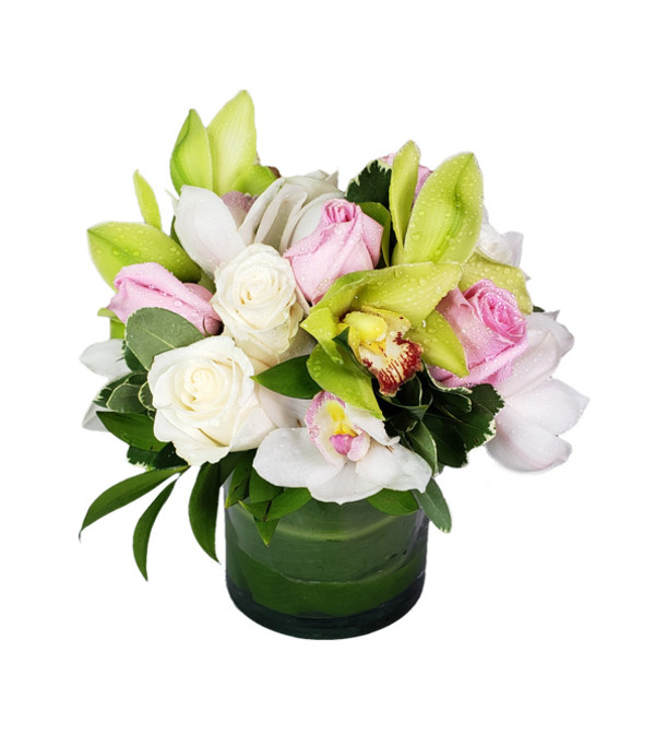 Gorgeous Flowers