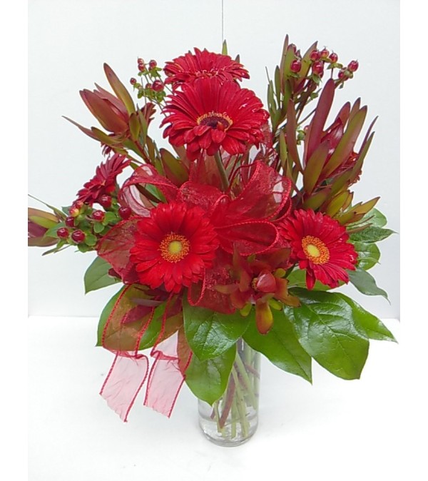 Burst of Red