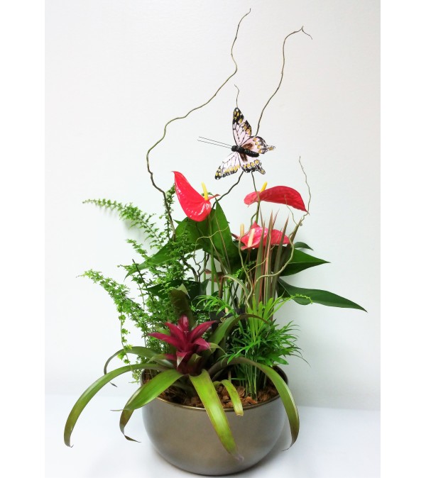 Plant Perfection