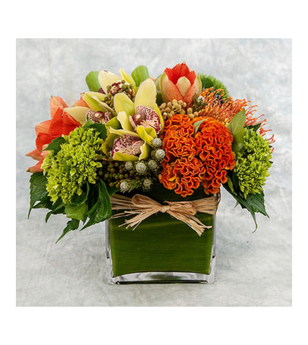 FALL CLUSTER