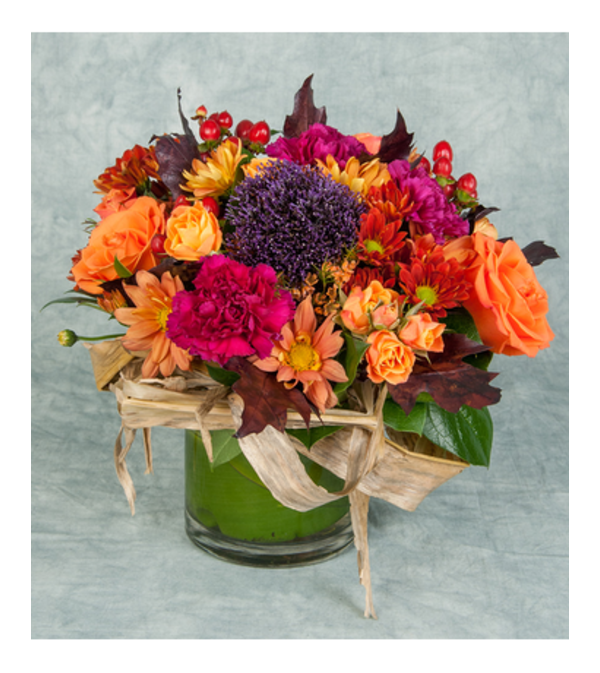 FALL SPECTACULAR