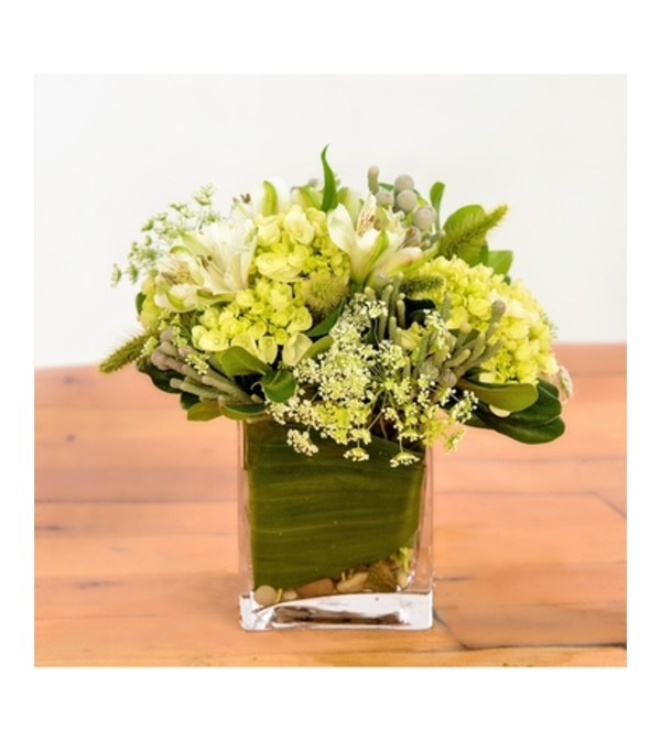 WHITE AND GREEN MIX