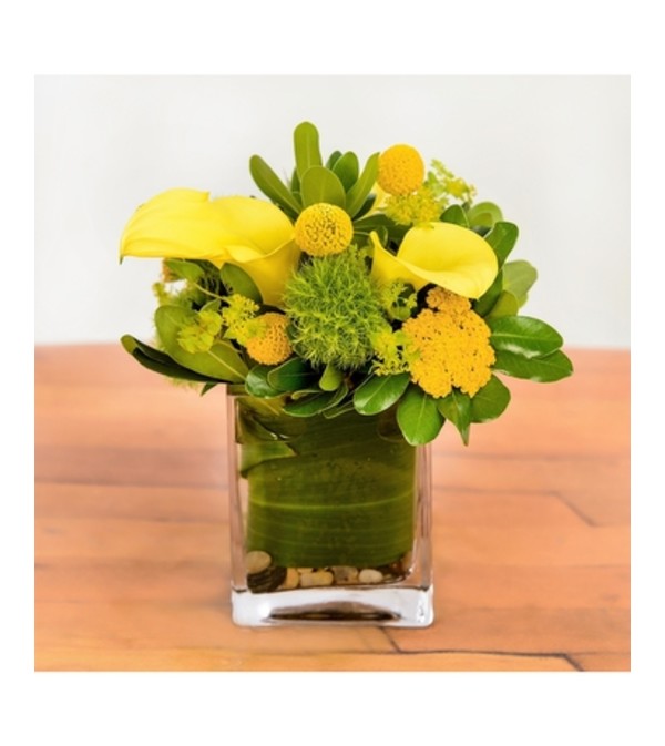 YELLOW & GREEN MIX