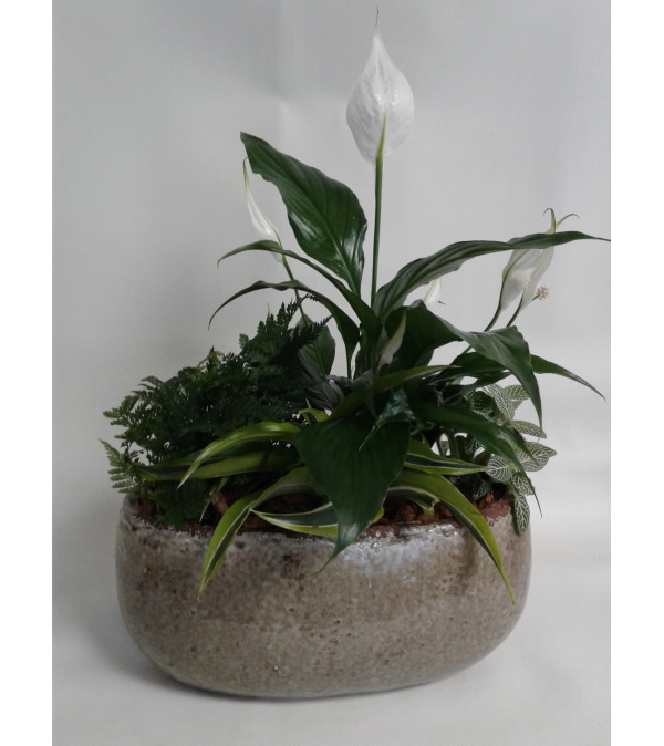 Peace Lily Boat