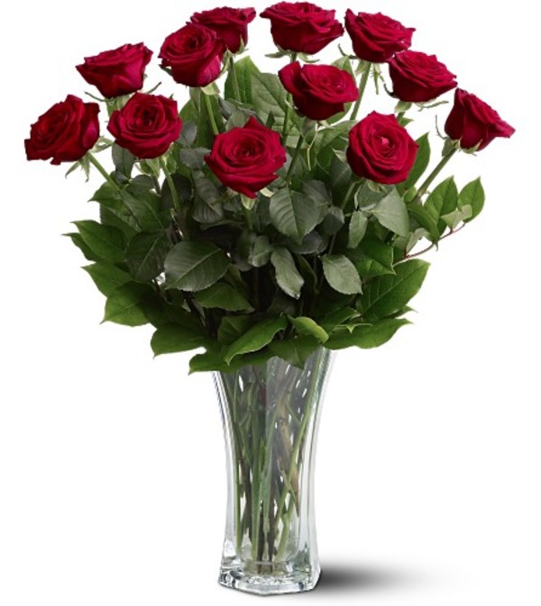 A Beautiful Dozen Premium Red Roses