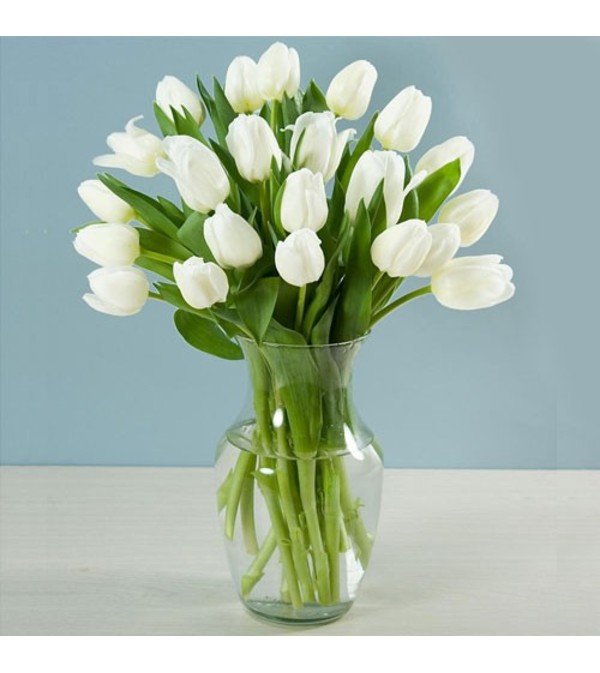 White Tulips