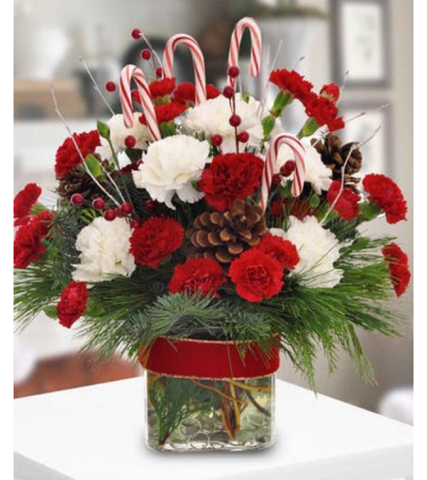 CANDY CANE CELEBRATION