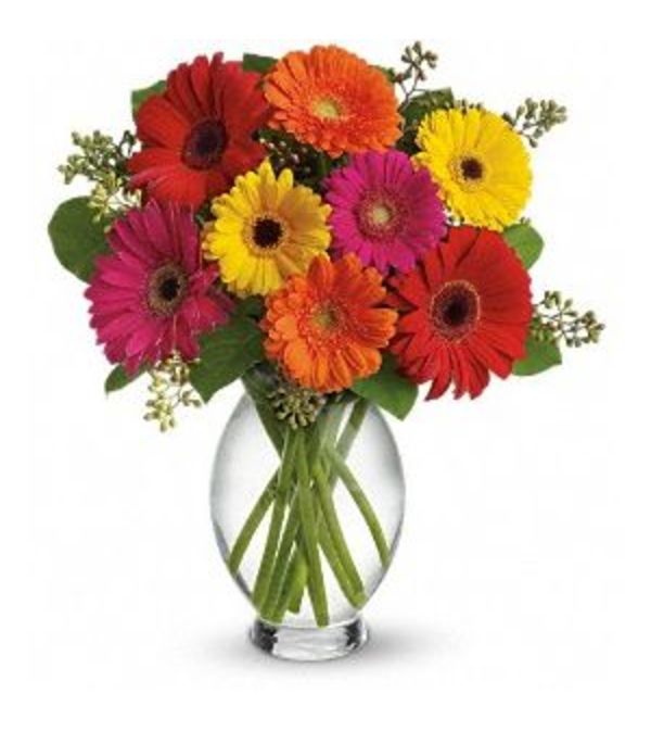 SALE!! Teleflora's Gerbera Brights Bouquet