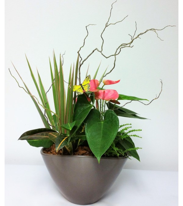 Anthurium Planter with Monarch