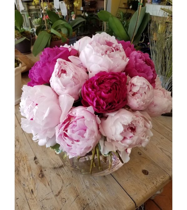 SIMPLY GORGEOUS PEONIES