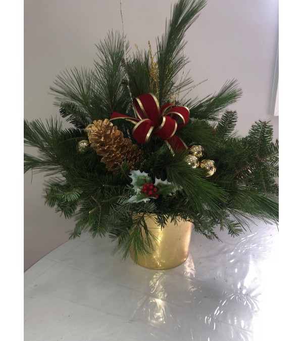 FRESH PINE GARLAND IN GOLD POT