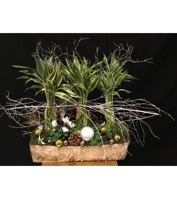Winter braided variegated bamboo