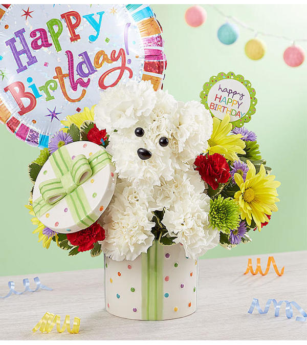 Party Pooch with Balloon