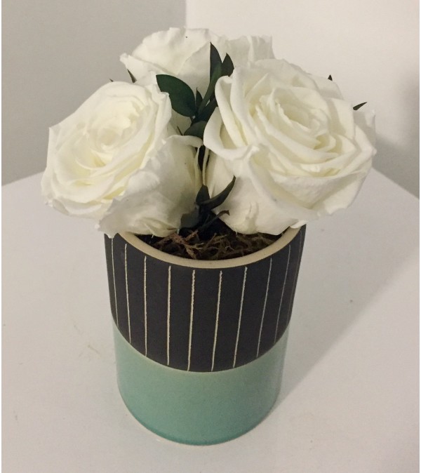 Preserved Rose Arrangement White