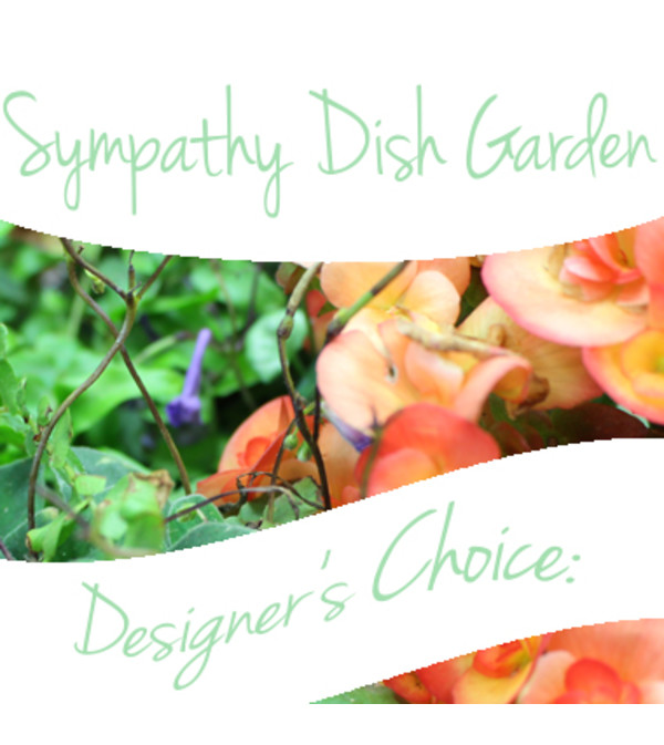 Designer's Choice Sympathy Garden