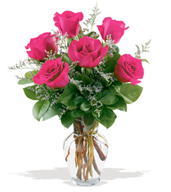 6 HOT PINK ROSES