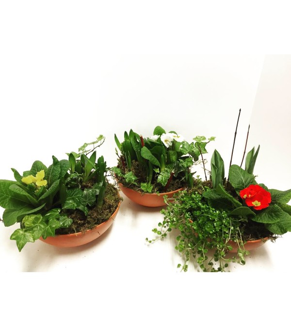 Sweet Spring Bulb Planter