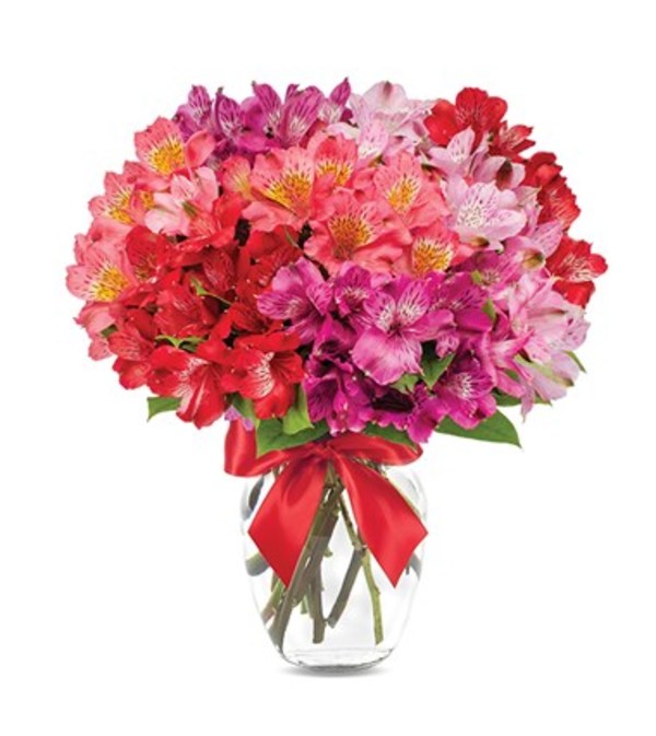 Peruvian Lilly Romance
