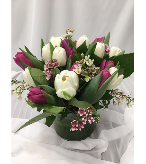 Lovely Spring Tulips