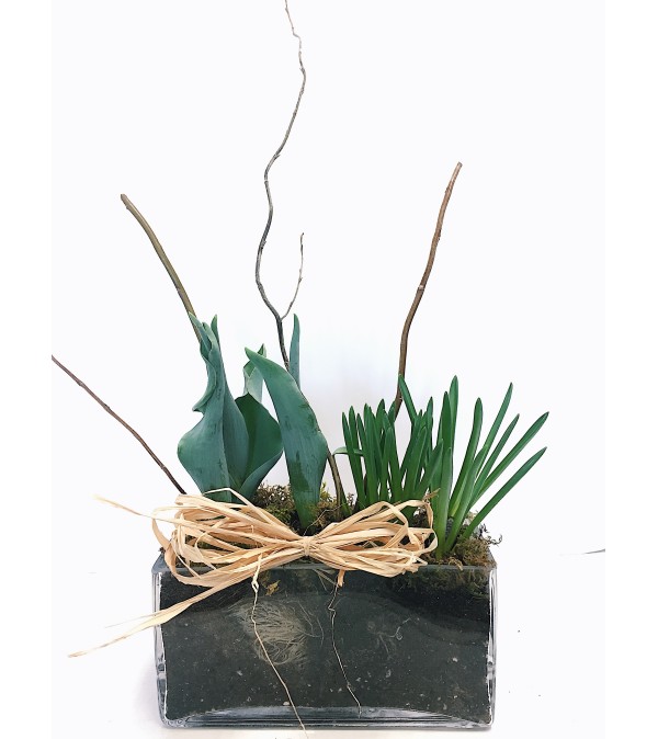 Spring Bulb Glass Planter