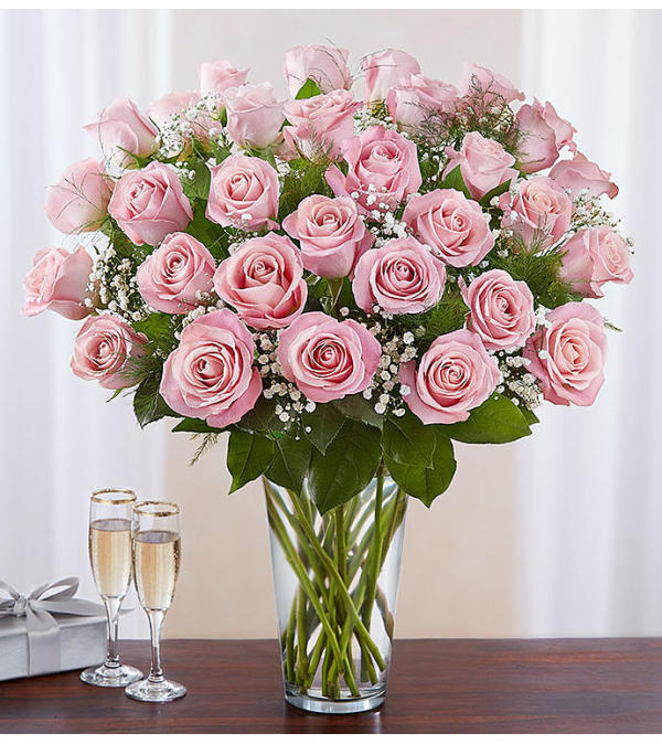 Ultimate Pink Roses 24, 36, 48 Long Stem