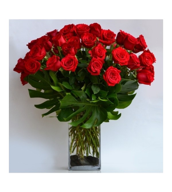 Stunning 48 Rose Statement ***LOCAL DELIVERY ONLY ***