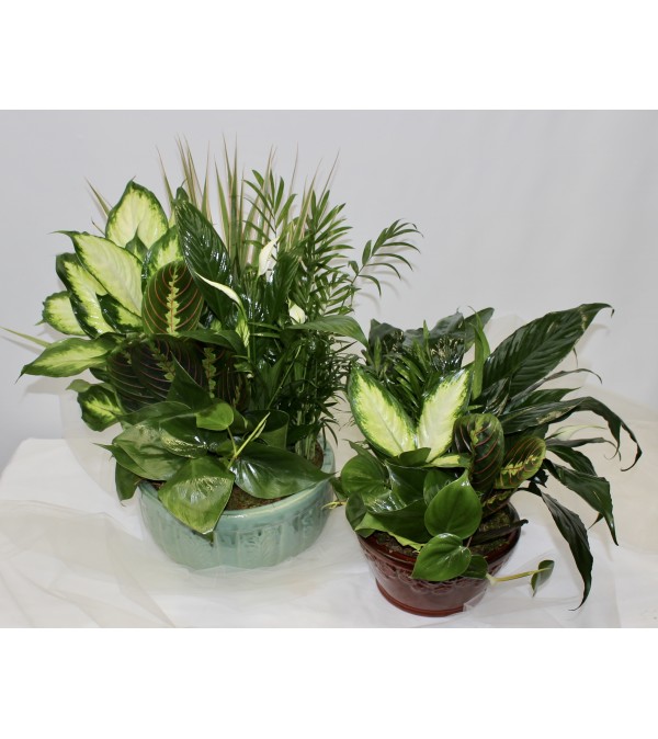 Garden Planter