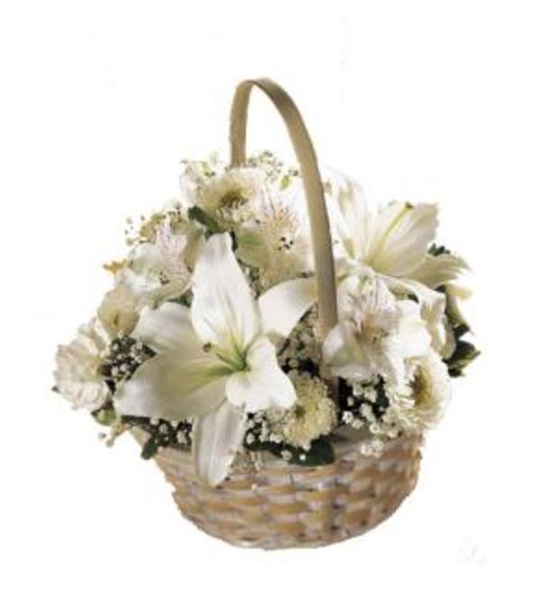 white basket of warmth