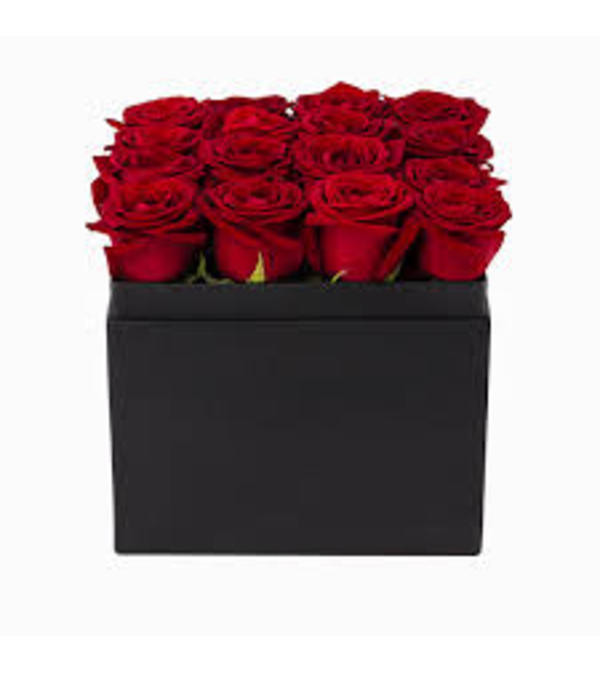 Black Box of Roses