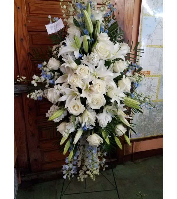 TRUE BLUE TRIBUTE