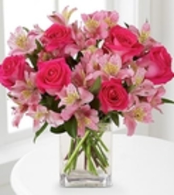 ColonyPretty in pinks