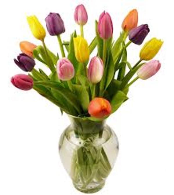 Tulips Galore