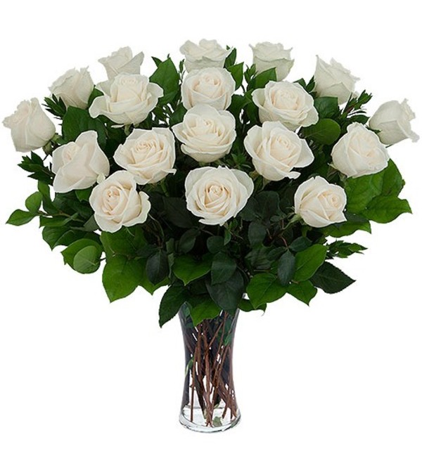 Pure Love White Roses