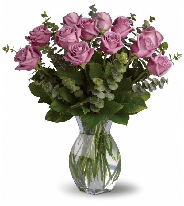 Enchanting Lavender Dozen