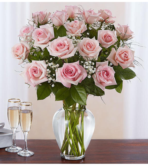Beautiful Long Stem Pink Roses