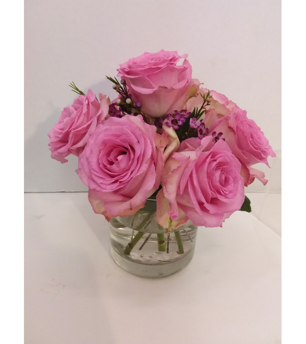 Sweet Pinks Roses