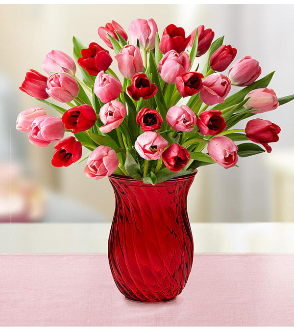 Tulips for Your Valentine Vase