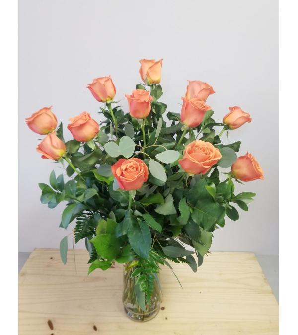 Orange Crush Dozen