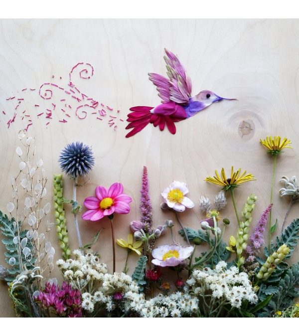 Hummingbird Card