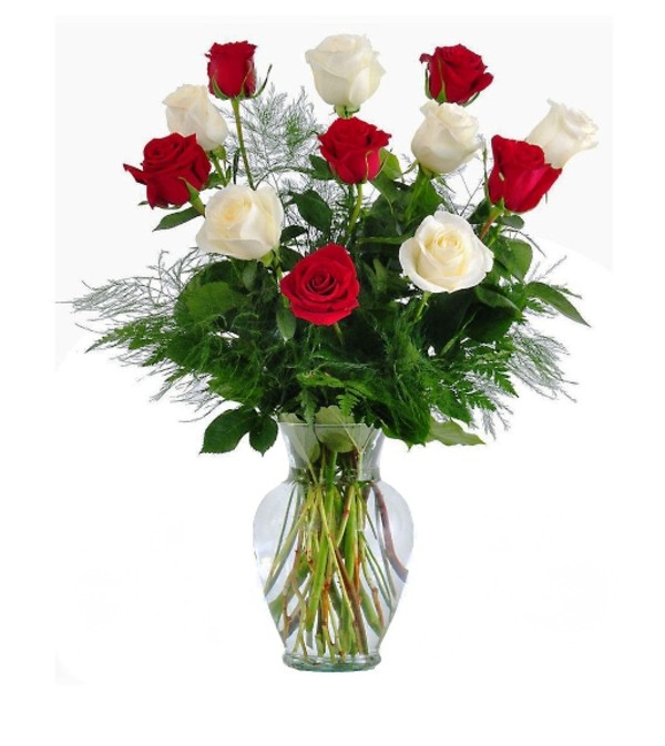 Red & White Rose Arrangement