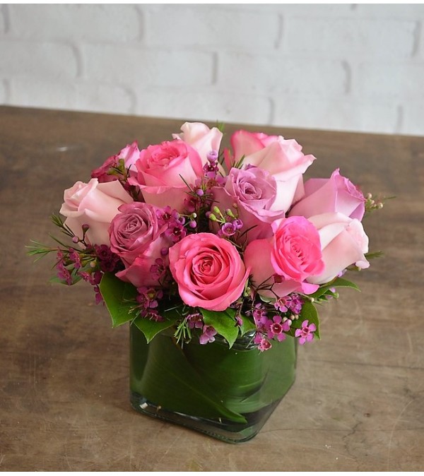 Roses-Maggie