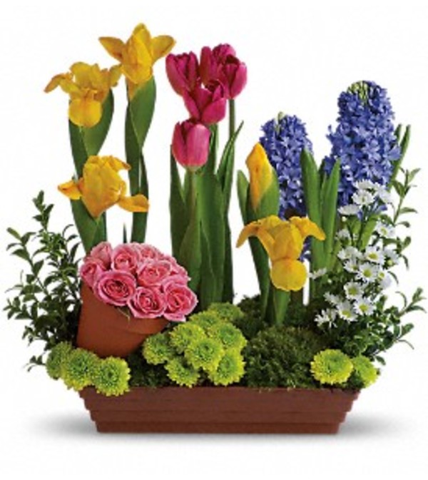 A Spring Favorites