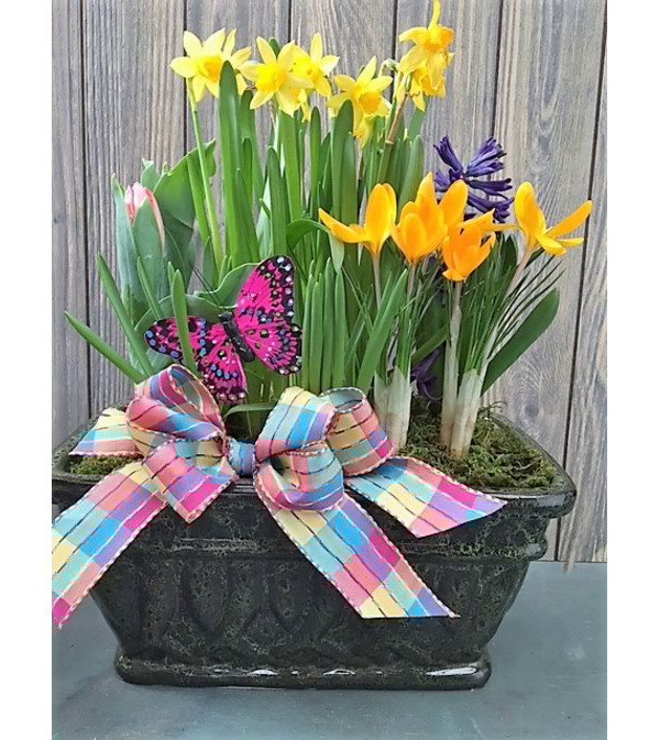 Springtime Joy
