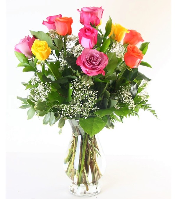 Roses(Multi)-Barbie